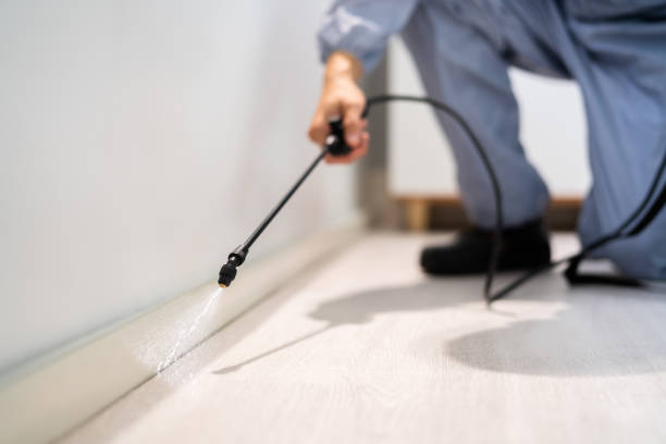 Licensed Termite Control service in Woonsocket, RI - Nex Pest Control