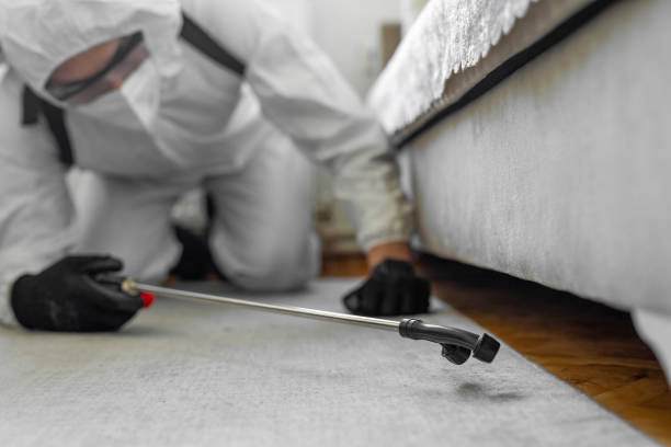 Professional Termite Control technician working in Woonsocket, RI