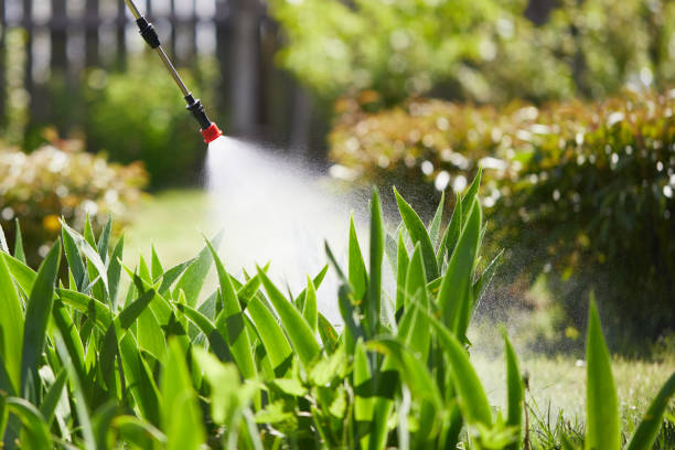 24/7 Emergency Termite Control experts in Woonsocket, RI