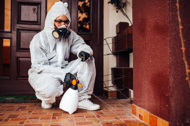 Reliable Termite Control contractor in Woonsocket, RI by Nex Pest Control